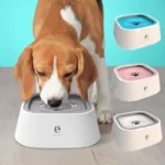 Gamelle Anti-déversement pour Chiens et Chats