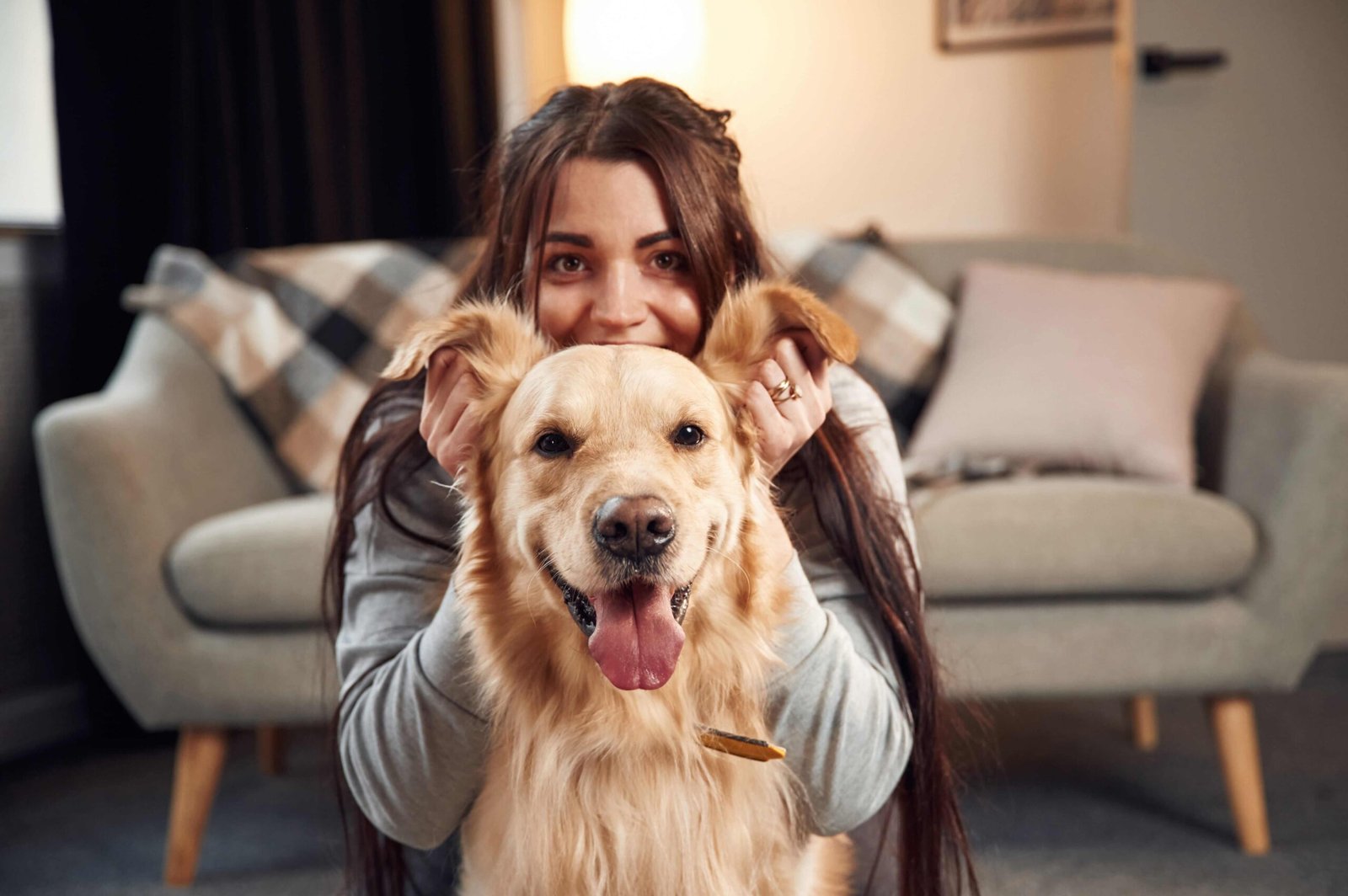 Tout savoir sur le Golden Retriever