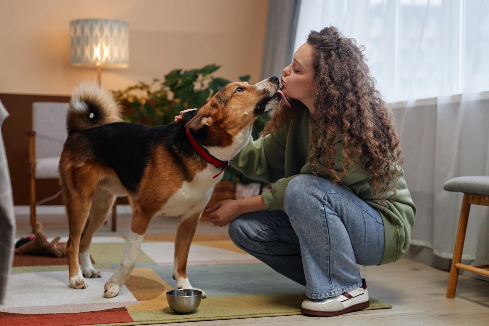 Pourquoi les chiens lèchent-ils ?