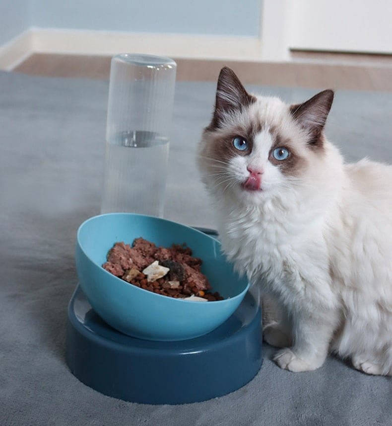 Double bol pour animaux de compagnie