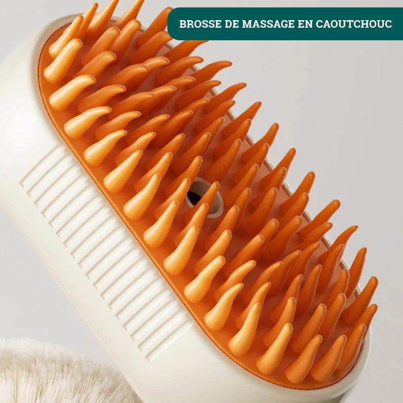 Brosse à Poils pour Chats & Chiens